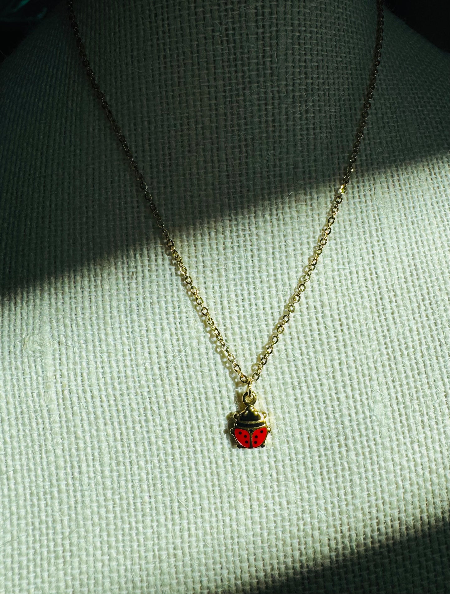 Mini Ladybug